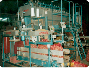 Almacenes de Patatas Arreba, S.L. - Maquinaria para envasado